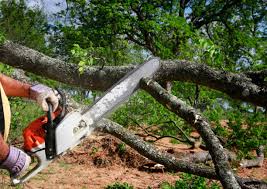 Leaf Removal in Wheatley Heights, NY