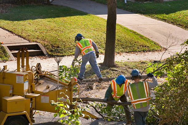 Mulching Services in Wheatley Heights, NY